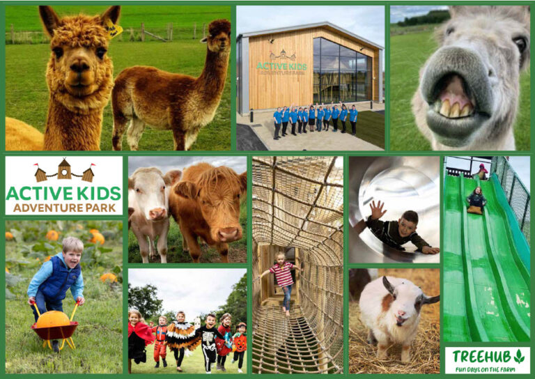 A moodboard for Active Kids adventure park