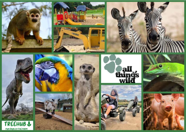 All Things Wild Moodboard