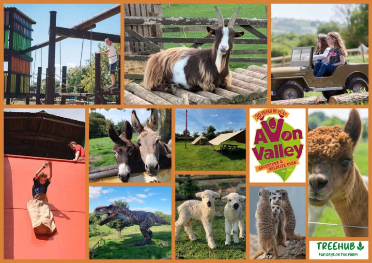 Avon Valley Adventure & Wildlife Park Moodboard