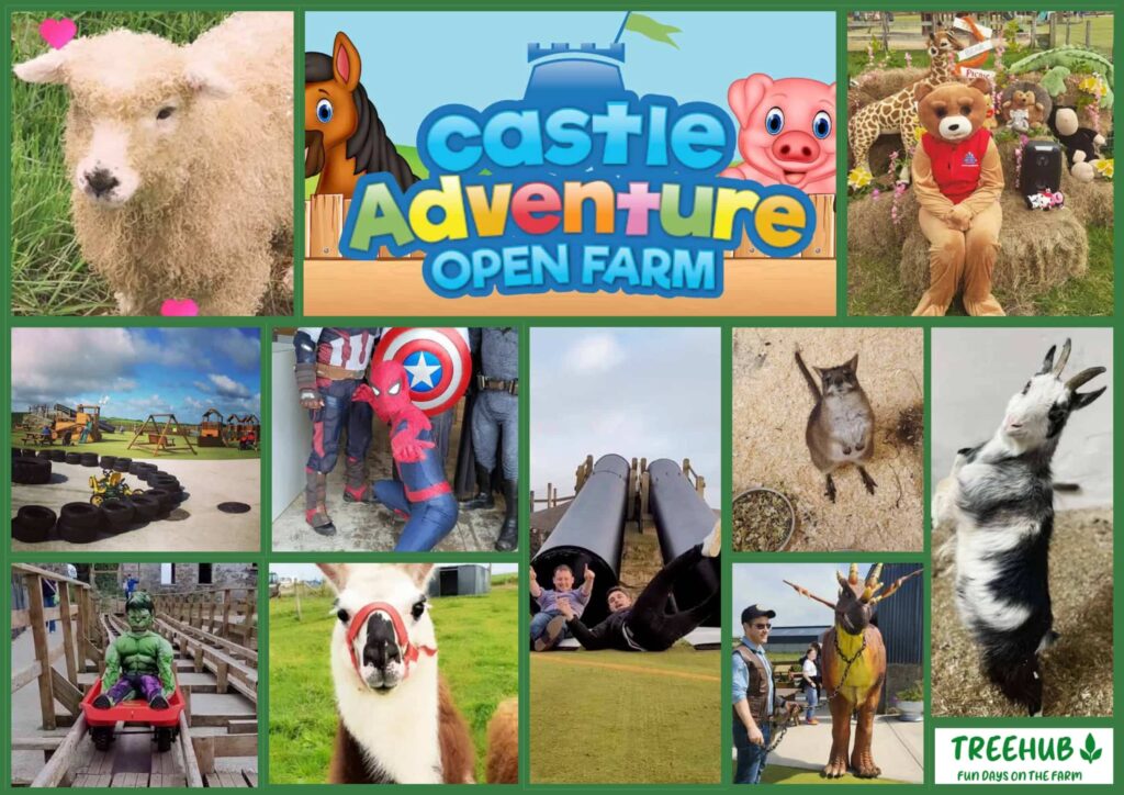 Castle Adventure Open Farm Moodboard