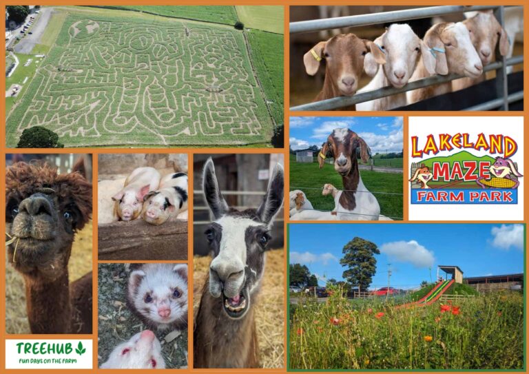 Lakeland Maze Farm Park Moodboard