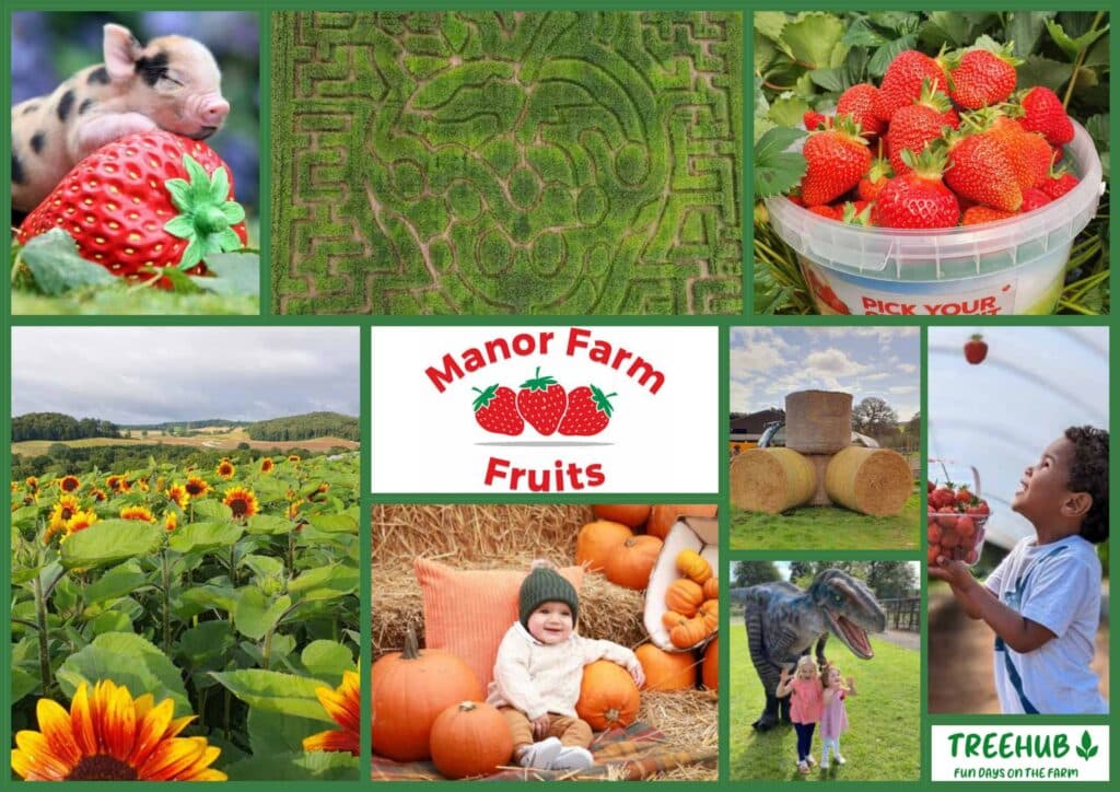 manor farm fruits moodboard