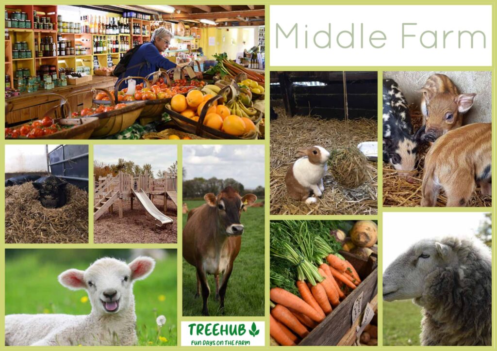 Middle Farm Moodboard
