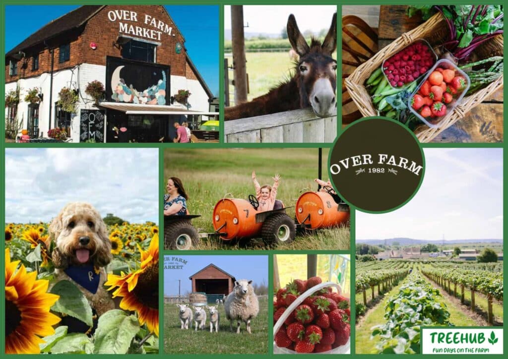 A Moodboard showing Over Farm