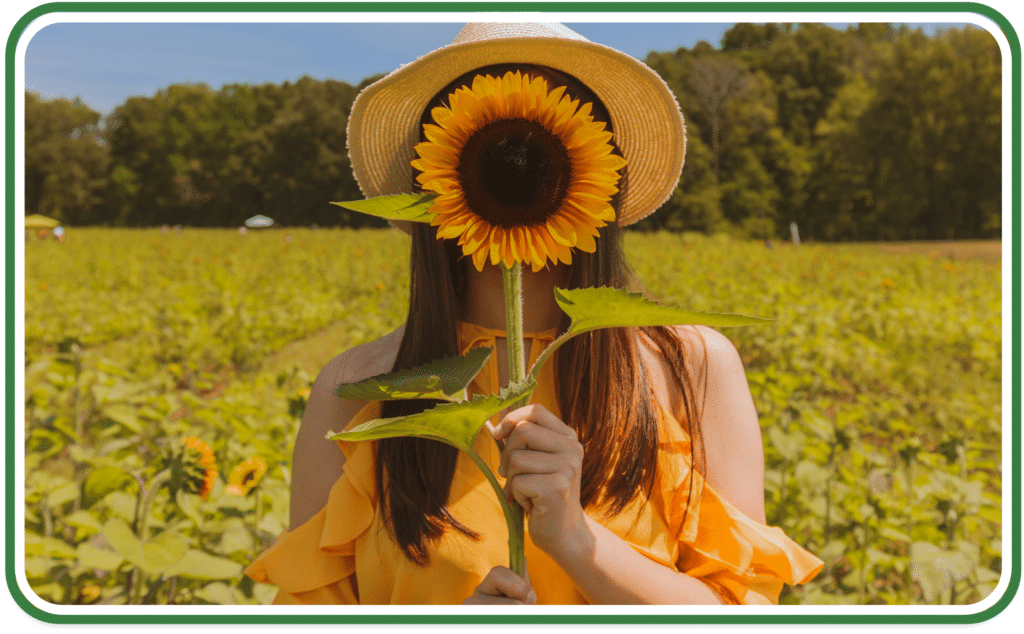 A lady holding a giant sunflower in front of her face