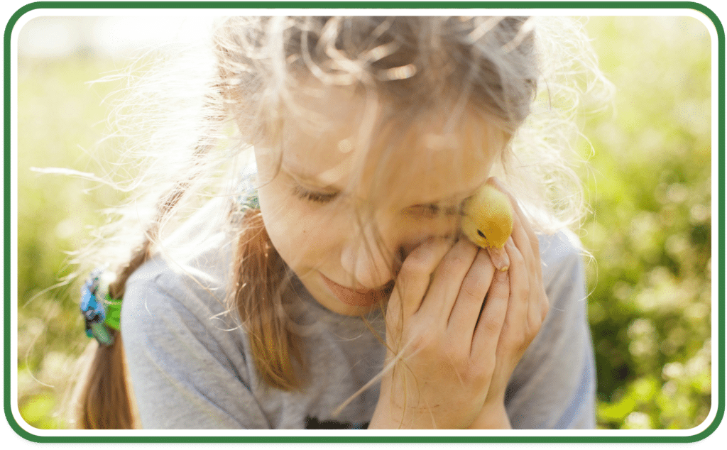 A young girl petting a baby chick at a farm